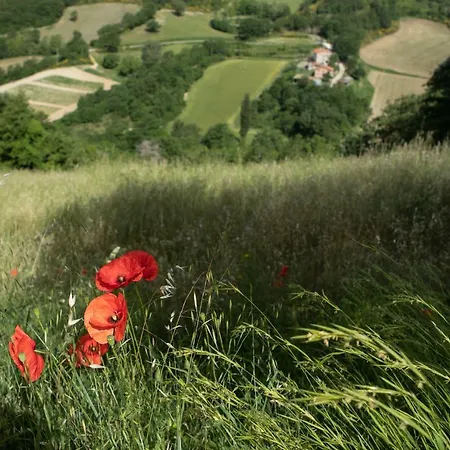 Il Monte Pietralunga (Umbria)